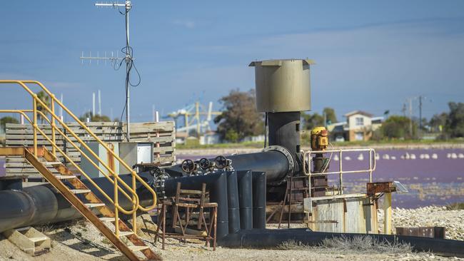 St Kilda on Thursday, where locals fear the rising salt water is affecting the groundwater. Picture: Roy VanDerVegt