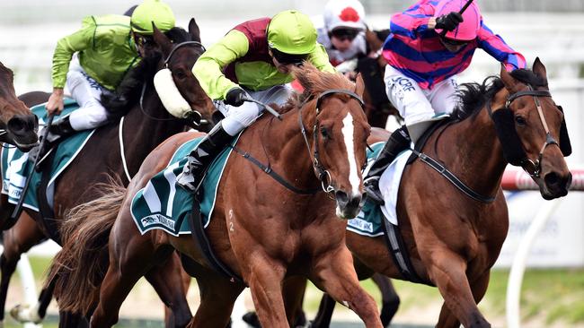 Bon Aurum has been well backed to win the Toorak Handicap.