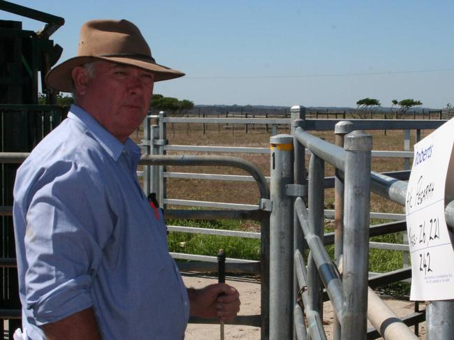 King Island Bull Sale, Roberts King Island livestock agent Vernon Philbey