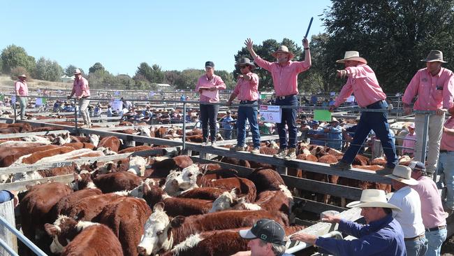 The average price for cattle at the Benambra sale was $1002.21 per head.