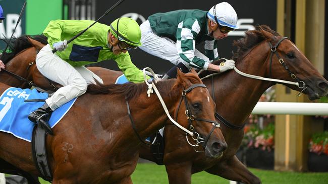 Reserve Bank (outside) went down narrowly behind stablemate First Settler in the Group 2 Danehill Stakes last spring. Picture: Getty Images