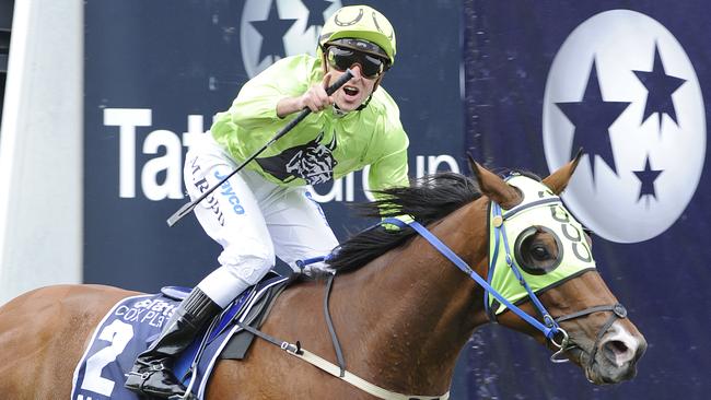 2008 Cox Plate winner Maldivian has died.