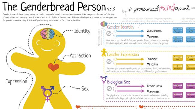 Genderbread person flyer