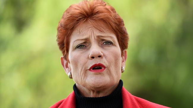 Yes, most of are dismayed to see Pauline back in the Senate, but just be thankful that voices like hers are being expressed peacefully. Picture: Dan Peled/AAP