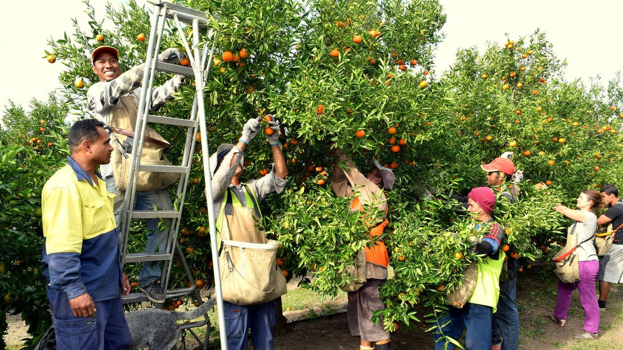 Australian Fresh Produce Alliance