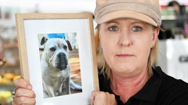 Katy Fraser's dog Roxy was recently baited in her back yard and sadly passed away. Photo Patrick Woods / Sunshine Coast Daily.