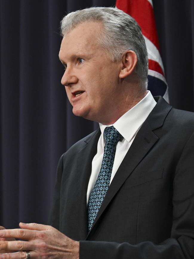 Former Employment and Workplace Relations Minister Tony Burke. Picture: NewsWire/Martin Ollman