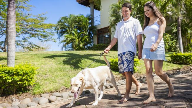 Dog owners are encouraged to pick up after their pet at the park.