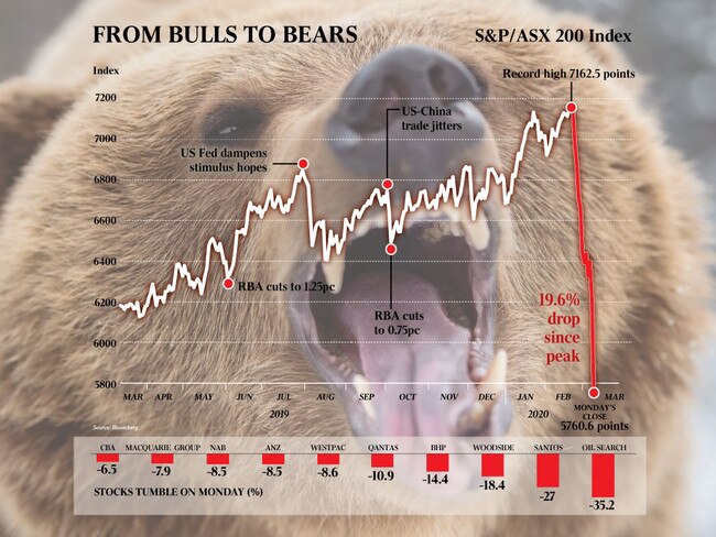 Bear graphic for web n