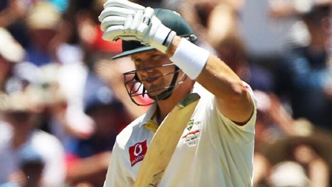 Shane Watson has given his support to the same-sex marriage ‘yes’ campaign.