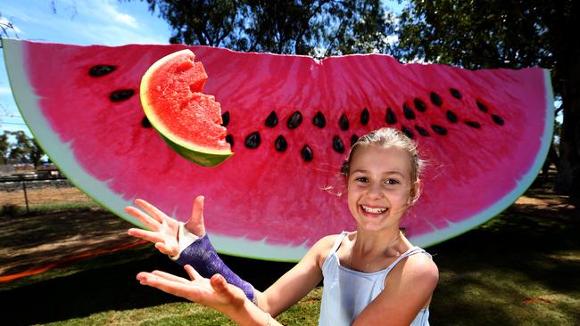 CANCELLED: Iconic Melon Fest falls victim to COVID