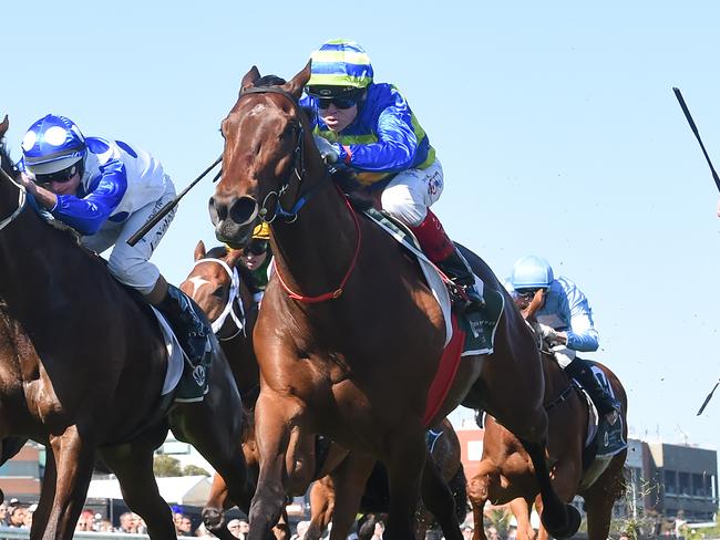 Shock 'Em Ova will step up to Group 2 company for the first time in Saturday's Zipping Classic at Caulfield. Picture: Racing Photos via Getty Images.