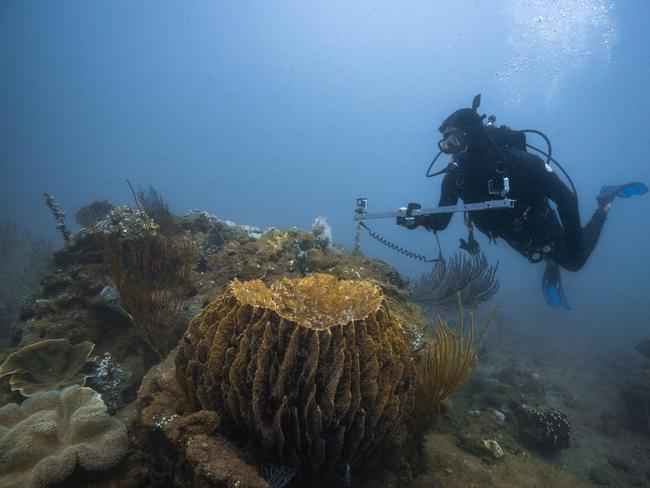 Oceanwise Australia Director Ben Fitzpatrick conducts a scientific survey.