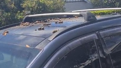 Natalie said a co-worker helped to hose the "poo brew" off her car. Picture: Supplied