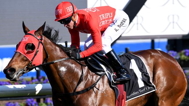 Redzel returned with a sizzling win in the Concorde Stakes.
