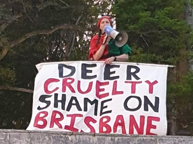 Protester arrested at Brisbane Christmas parade