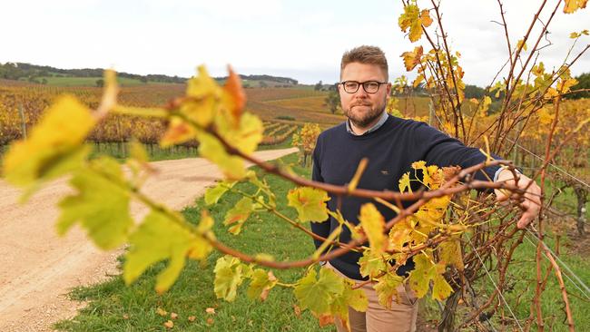 CEO of The Lane winery Jared Stringer. Picture: Tom Huntley