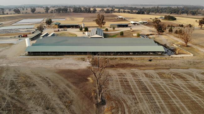 The dry and dusty paddocks around Colin Thompson's dairy showing how the drought is having an effect. Picture: Toby Zerna