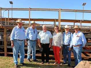 PRIME TOUR: Saleyards guides James Stinson, Peter Nichol and Lloyd Harth with Cr Peter Flynn and Cr Puddy Chandler. Picture: Annabelle Murphy