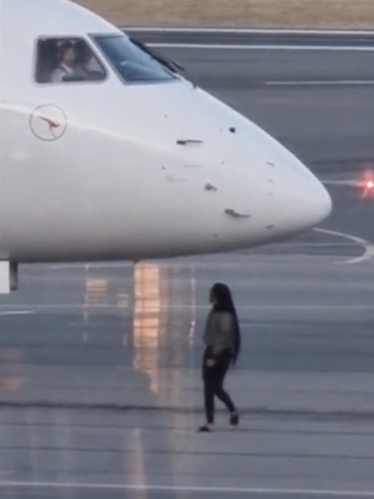 The woman was seen trying to wave down the pilot. Photo: 9 News