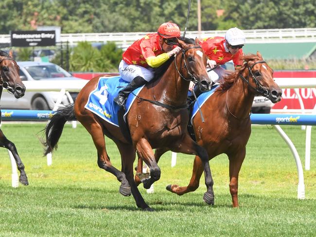 High Octane ridden by Mark Zahra wins the Sportsbet Blue Diamond Preview (C&G) at Caulfield Racecourse on January 26, 2024 in Caulfield, Australia. (Photo by Brett Holburt/Racing Photos via Getty Images)