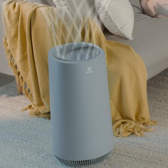 An air purifier particles, gases, and other pollutants from indoor air, making the air cleaner to breathe.