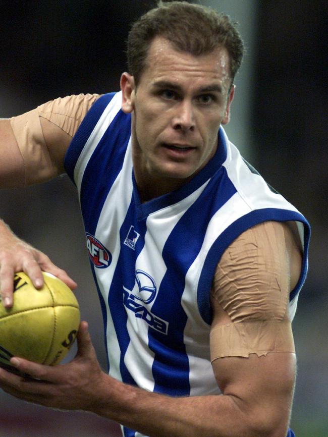 Wayne Carey produced several brilliant individual seasons.