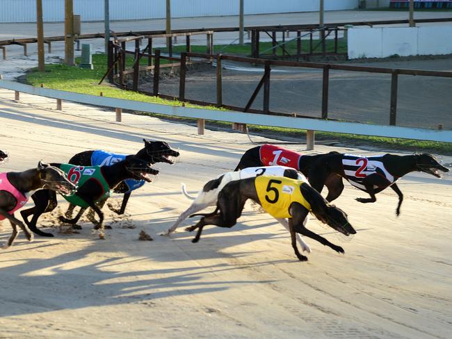 Gosford Greyhounds suspended indefinitely | Daily Telegraph
