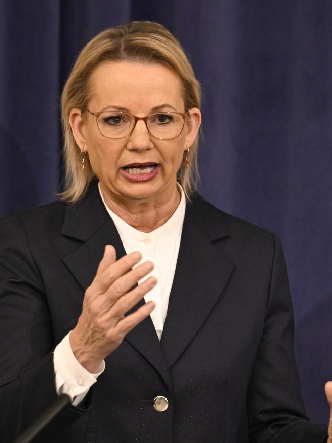Federal Leader of the Opposition Sussan Ley declined to comment. Picture: NewsWire / Martin Ollman