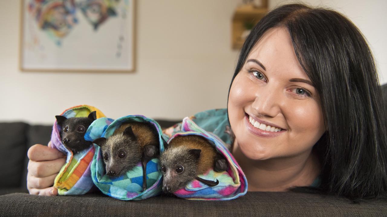 Kerryn Kent of Flying Fox Rescue and Rehab with some of the mammals in her care. Saturday, 1st Feb, 2020.