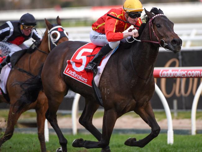 Voodoo Lad goes to Moonee Valley in good form. Picture: Getty Images