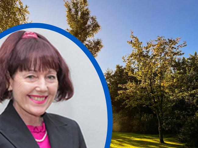 Councillor Kathy Duff said the cons of leaving the trees in their current location will do major damage to underground services, new footpaths, and shelters.