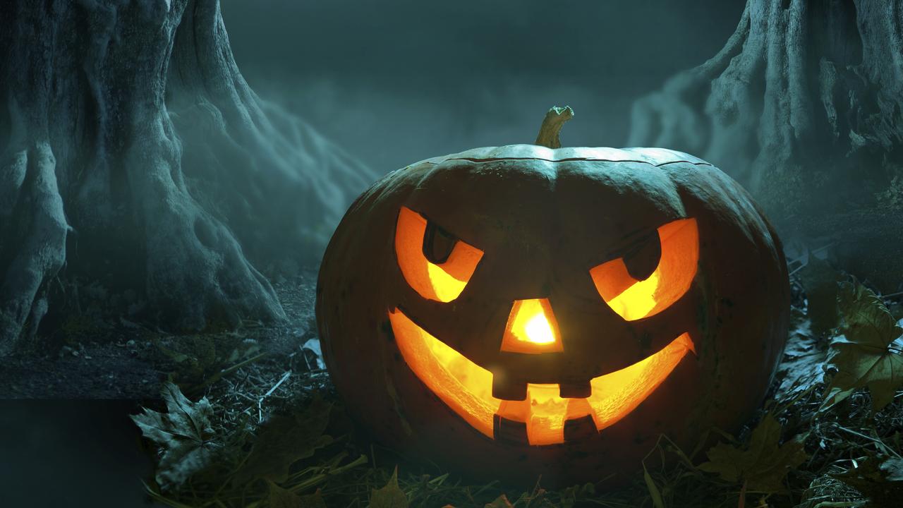 A jack-o’-lantern pumpkin looking pretty spooky in a dark forest at night.