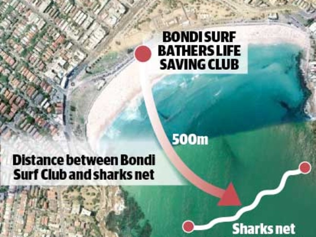 Shark nets only offer 'false sense of security' with Bondi Sydney's worst  protected beach