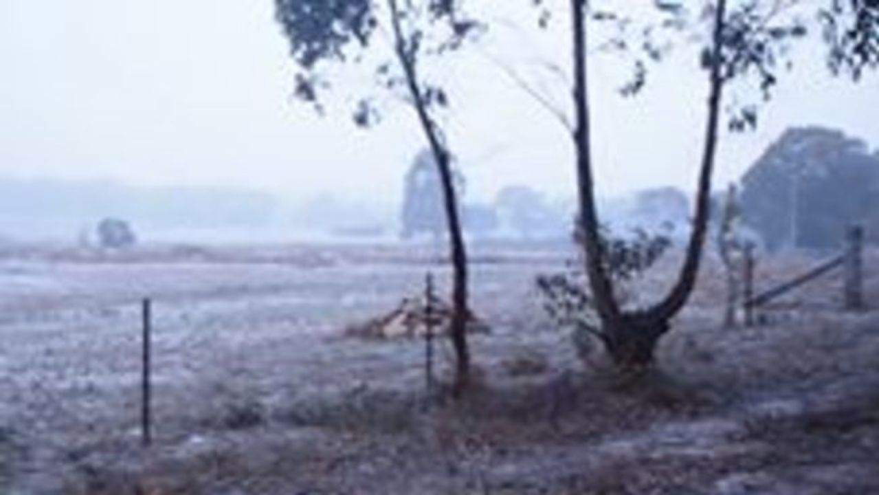 Snow Falls in Stanthorpe as Severe Weather Sweeps East Coast