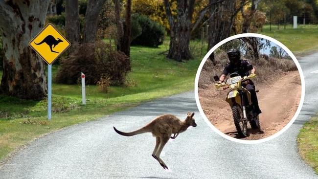 A motorbike rider and a toddler collided with a kangaroo at a private property in Jensen. (FILE PHOTO) Picture: Supplied.