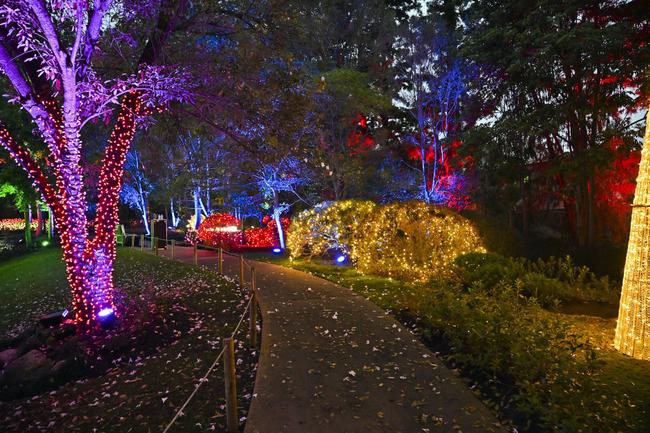 Christmas Wonderland in Nerima Gardens at Queens Park. Picture: Cordell Richardson