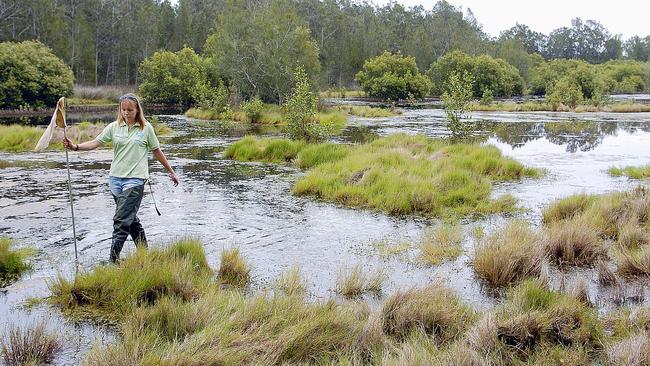 Davistown Wetlands. Picture: TROY SNOOK