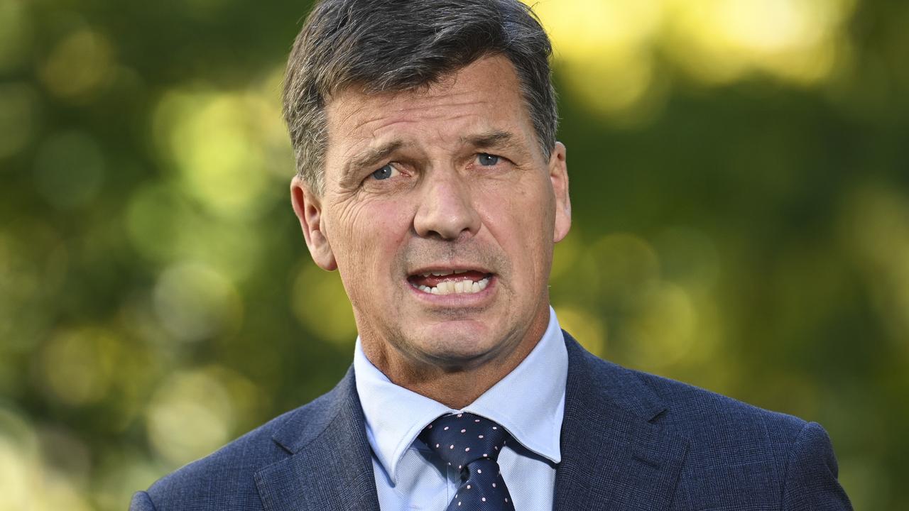 Shadow Treasurer Angus Taylor. Picture: NCA NewsWire / Martin Ollman