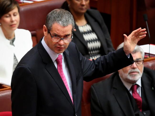 Senator Stephen Conroy argues Labor's point in the Senate Chamber in Federal Parliament, Canberra. Picture: Ray Strange