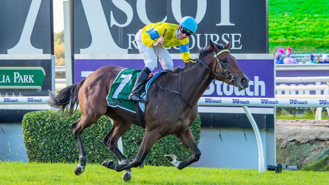 Super Smink will represent Ladbrokes in The Quokka. Picture: X