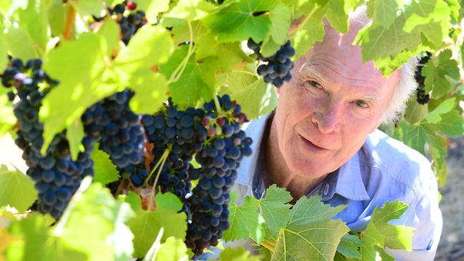 Grampians midnight wine harvest. How horticulture producers were affected by fire. Champagne. Fire. Grapes. Harvest. Pictured: Best's Great Western Viv Thompson.