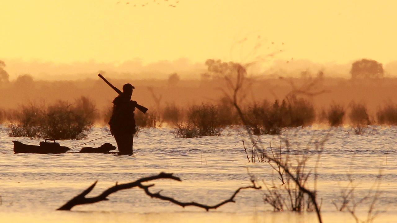 More ducks shot under Allan’s call, but there’ll be ‘cultural awareness’