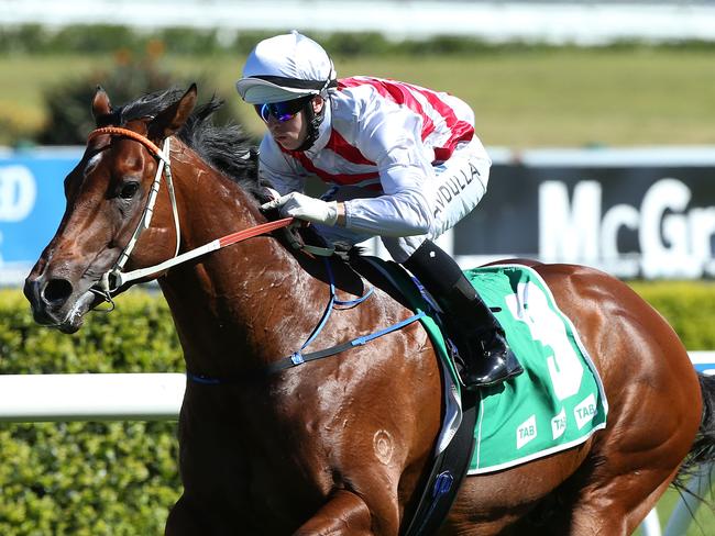 SYDNEY, AUSTRALIA - OCTOBER 18: Brenton Avdulla rides Deep Field during Sydney Racing at Royal Randwick Racecourse on October 18, 2014 in Sydney, Australia. (Photo by Anthony Johnson/Getty Images)