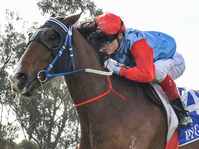 Admiral's Joker ridden by Craig Williams wins the Bet365 Seymour Cup at Seymour Racecourse on October 20, 2019 in Seymour, Australia. (Brett Holburt/Racing Photos via Getty Images)