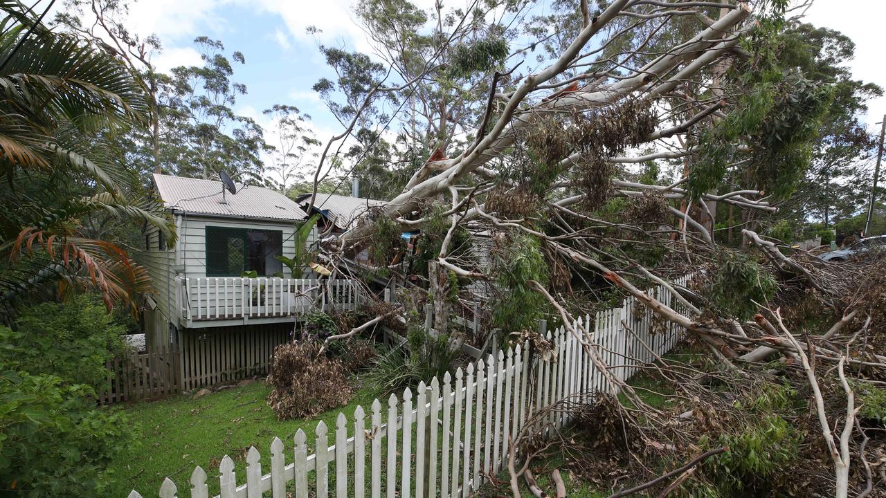 Queensland weather: Steven Miles says storm-damaged homes will ‘take ...