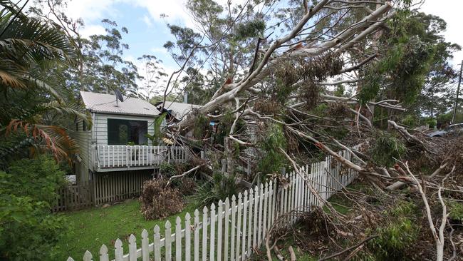 Damage from the storms that brought tornadoes and flooding rains to Mt Tamborine included a tree which sliced a home in half. Picture: Glenn Hampson