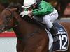 The Early Oil: Sandown Hillside