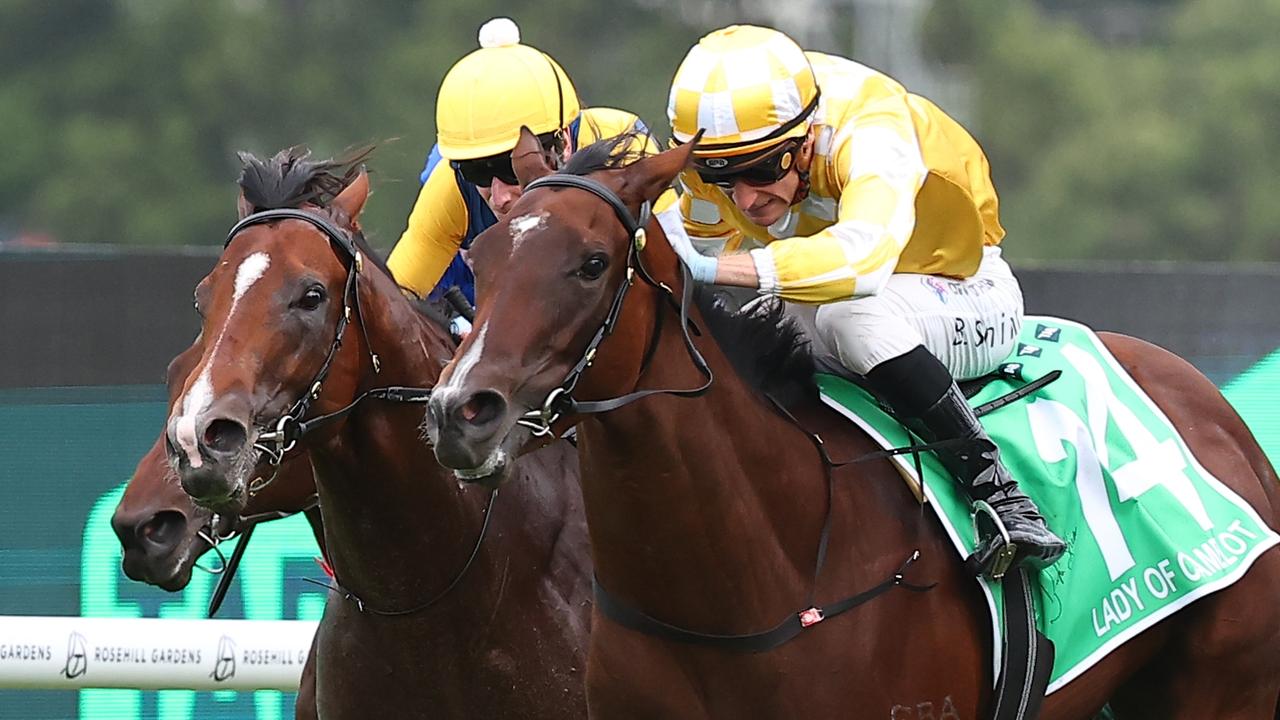 Lady Of Camelot (right) and Storm Boy.