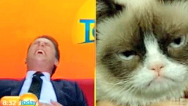 Karl Stefanovic loses it on TV during his interview with Grumpy Cat.